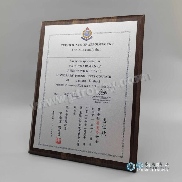 AE075 Crystal Award,水晶禮品訂造