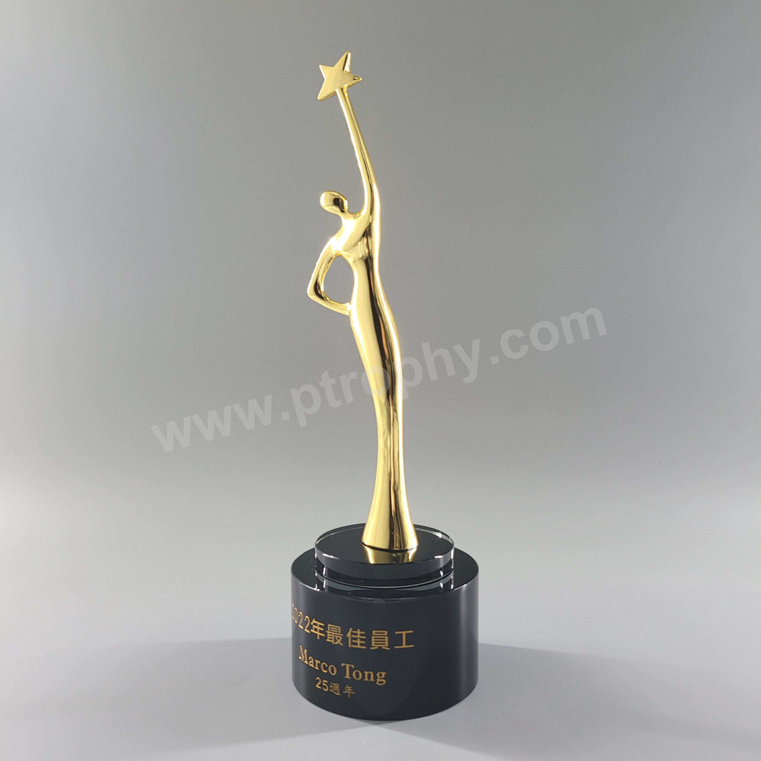 AE207 Crystal Award