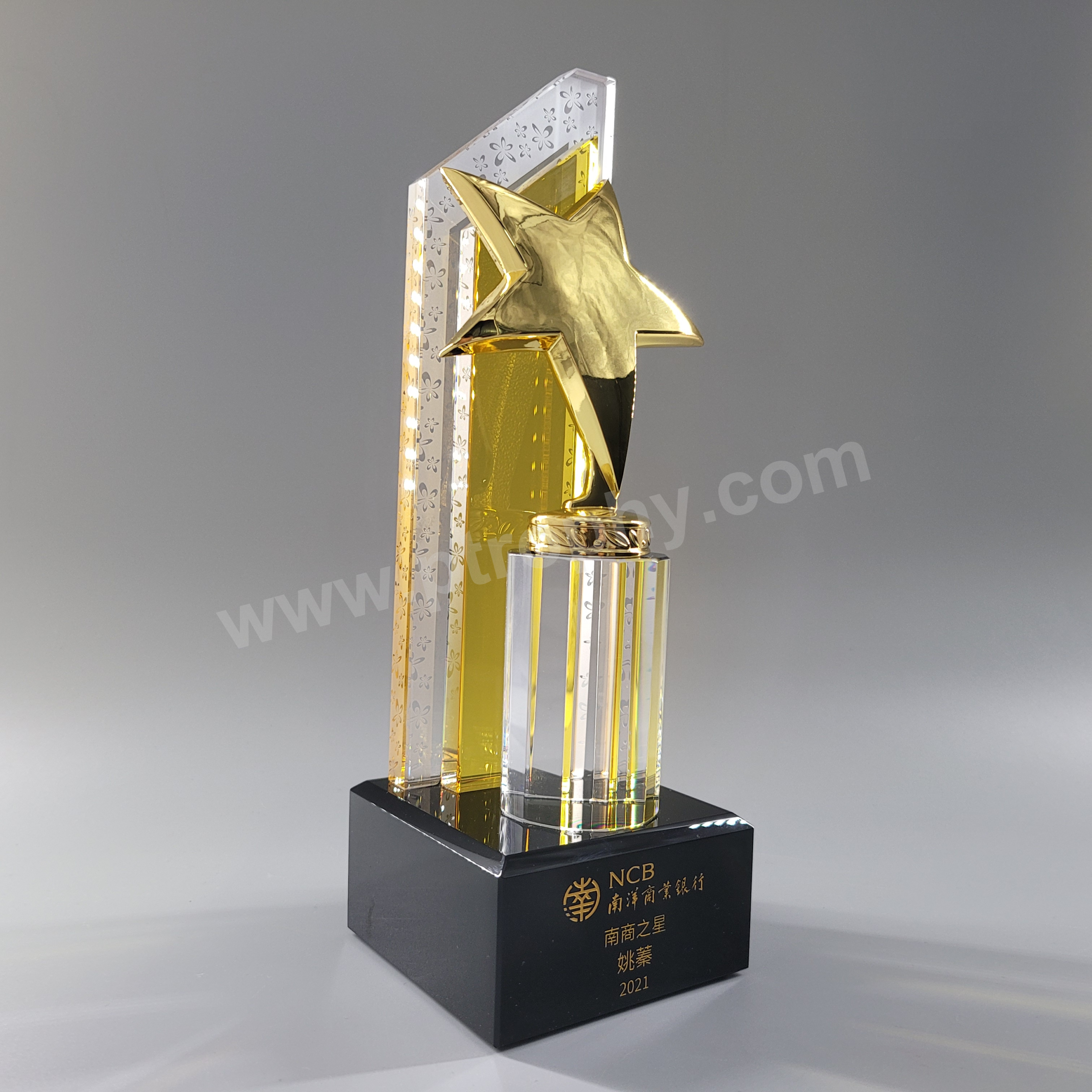 AE233 Crystal Award