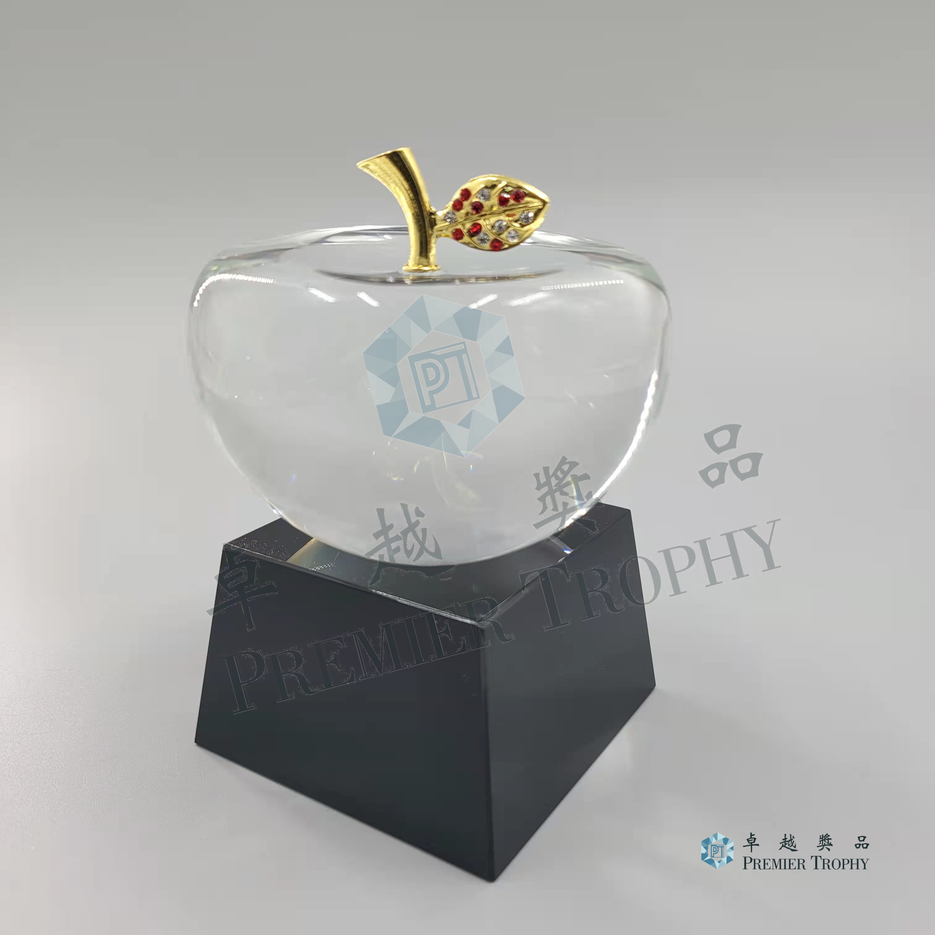AE245 Crystal Award