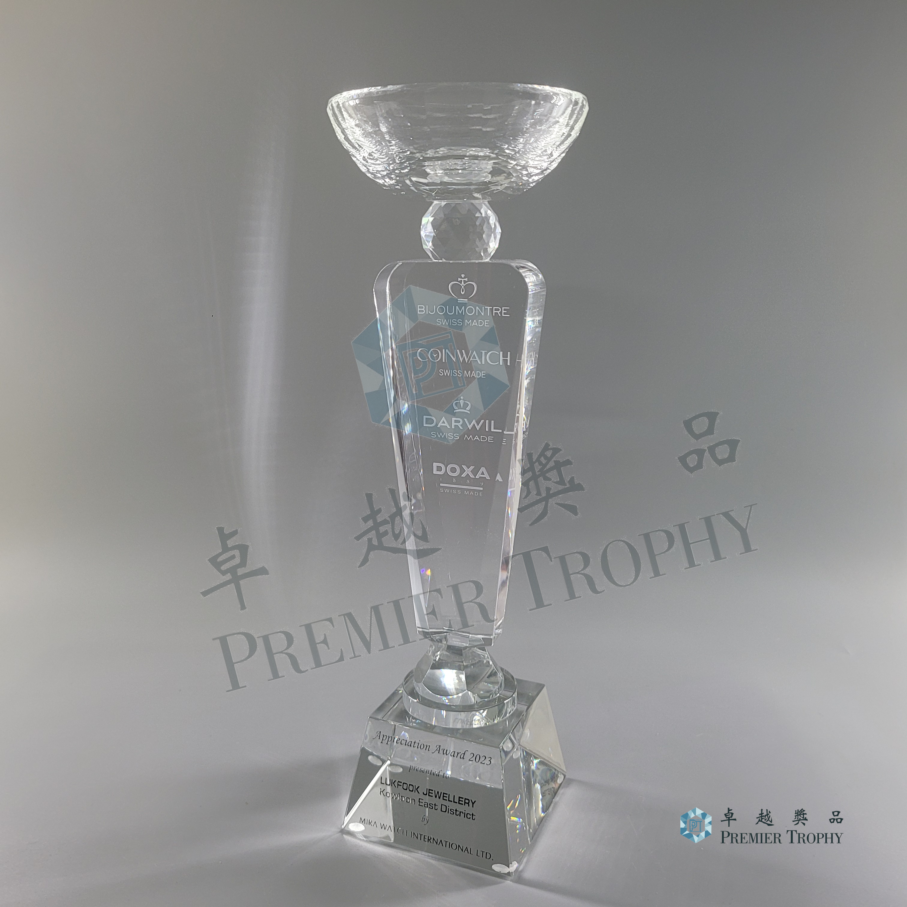 AE248 Crystal Award