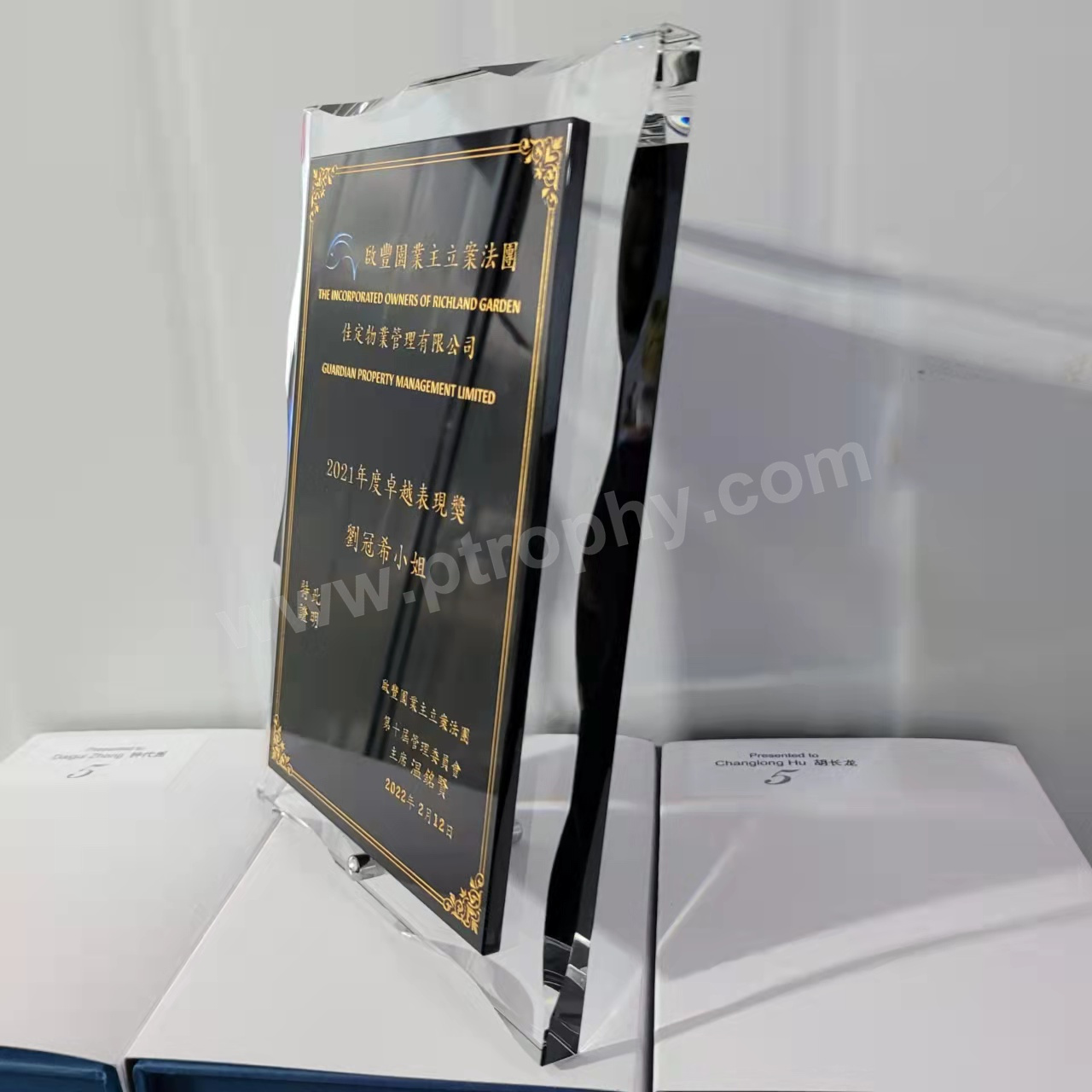 AE257 Crystal Award