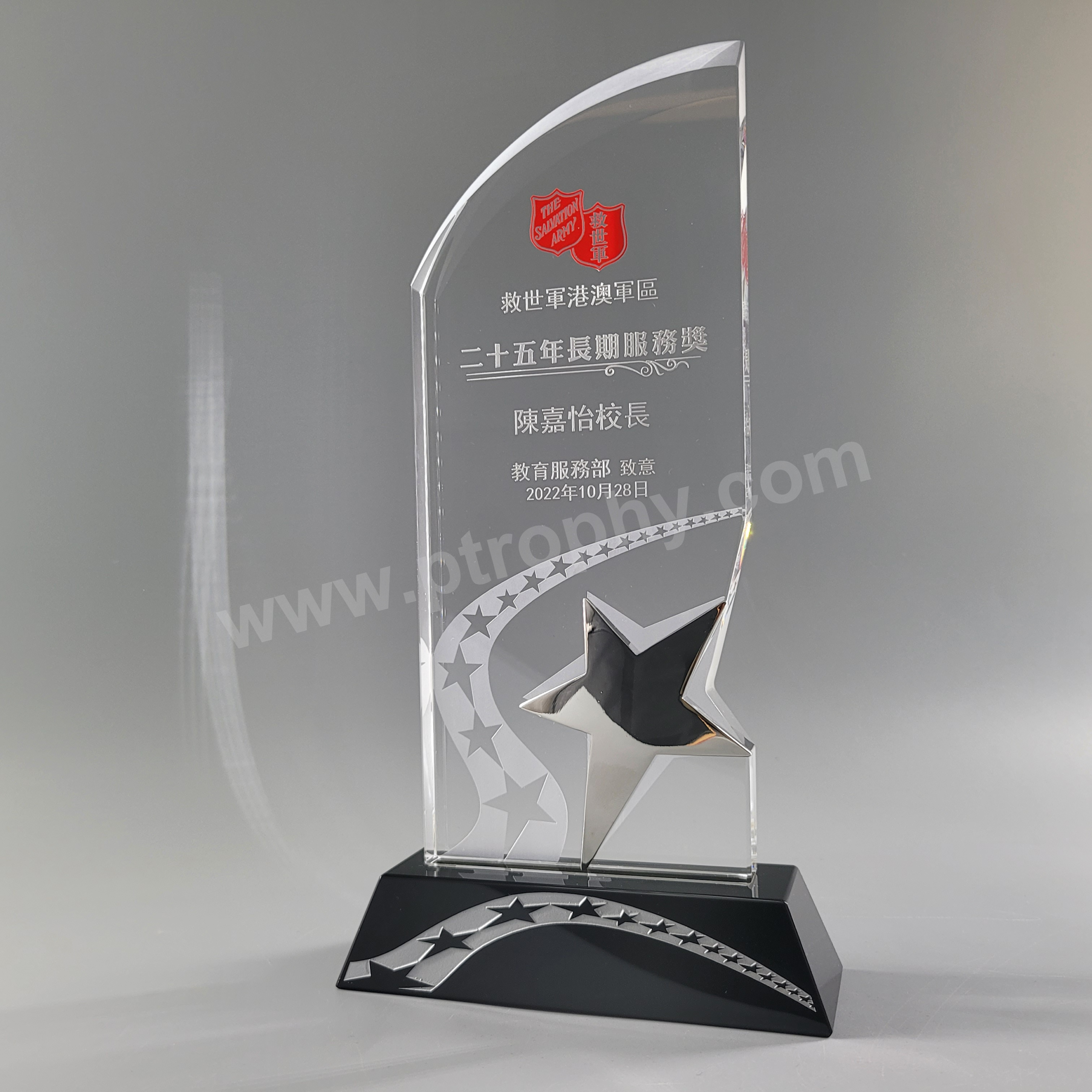 AE265 Crystal Award