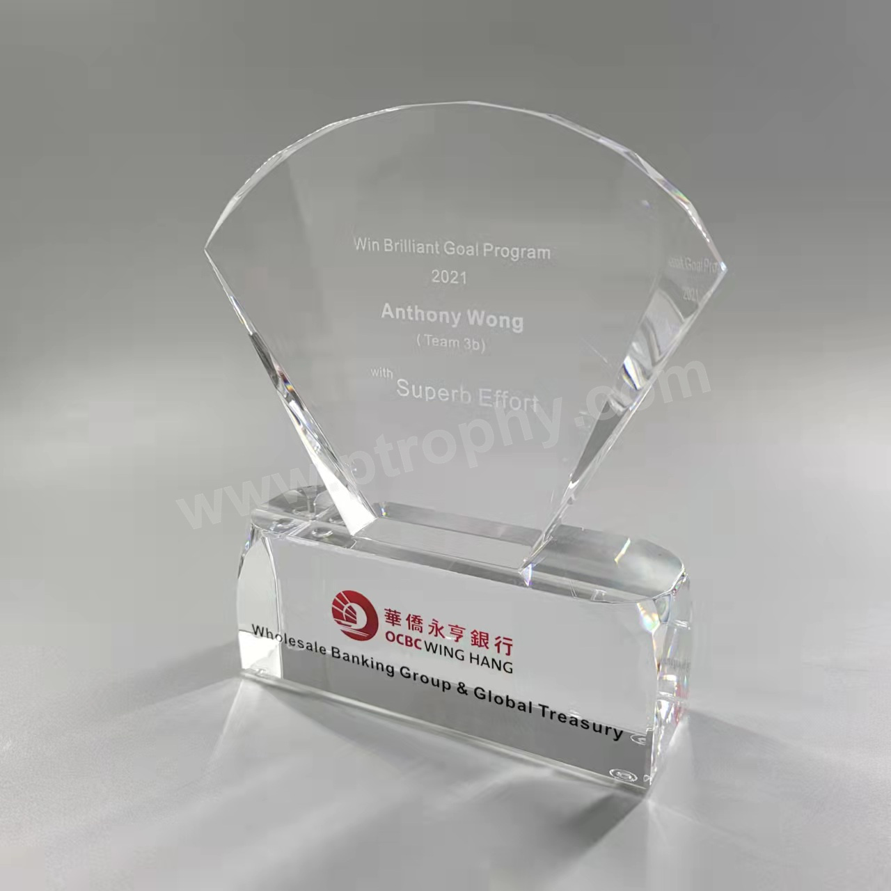 AE267 Crystal Award