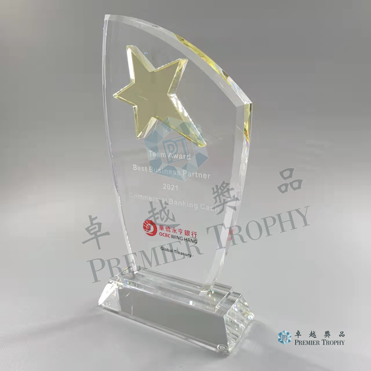 AE269 Crystal Award