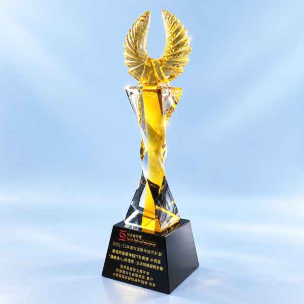 AE299 Crystal Award