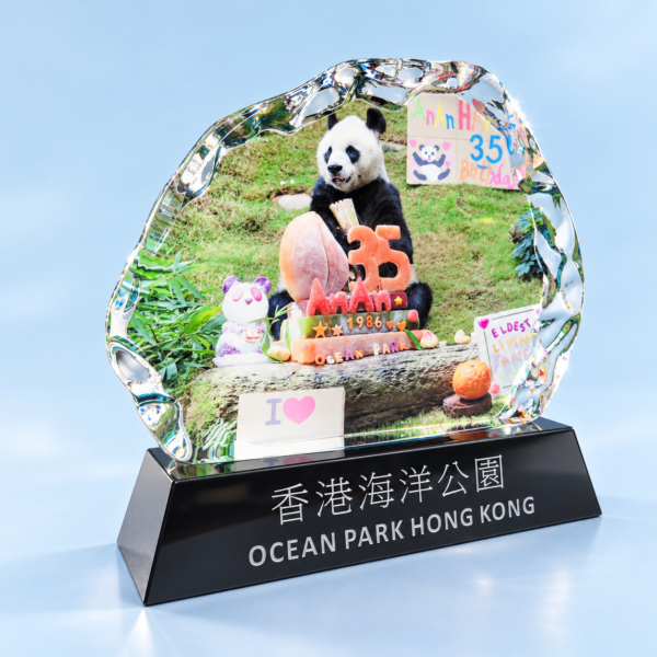 AE300 Crystal Award