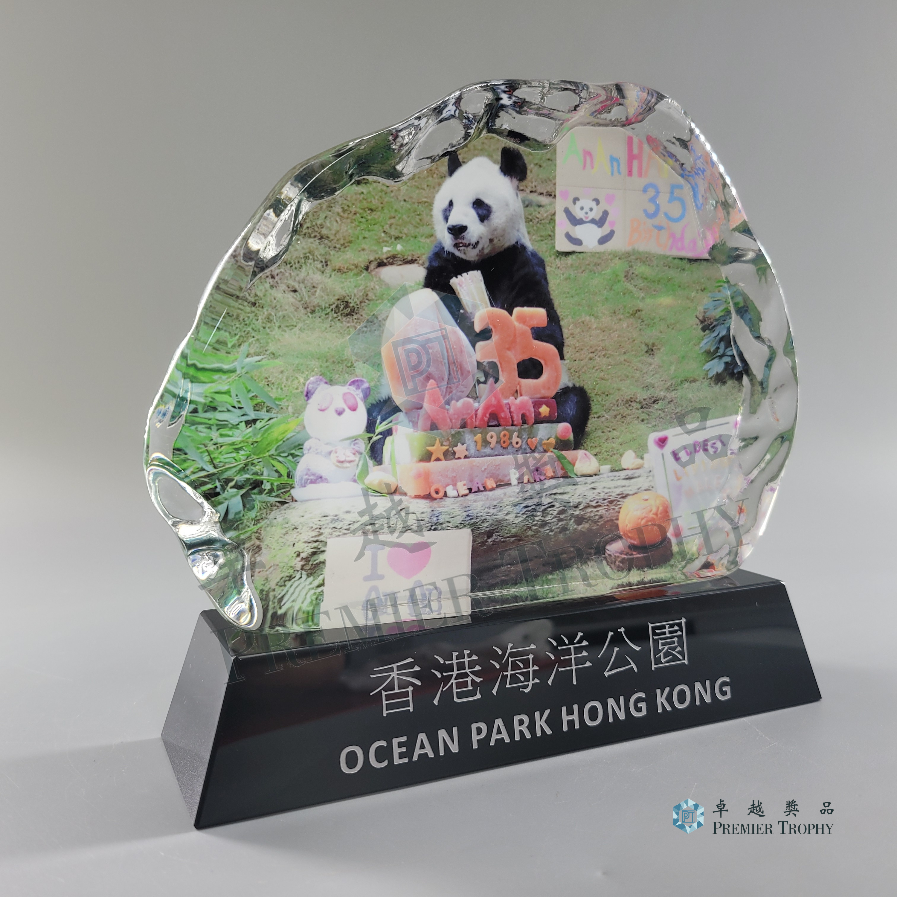 AE300 Crystal Award