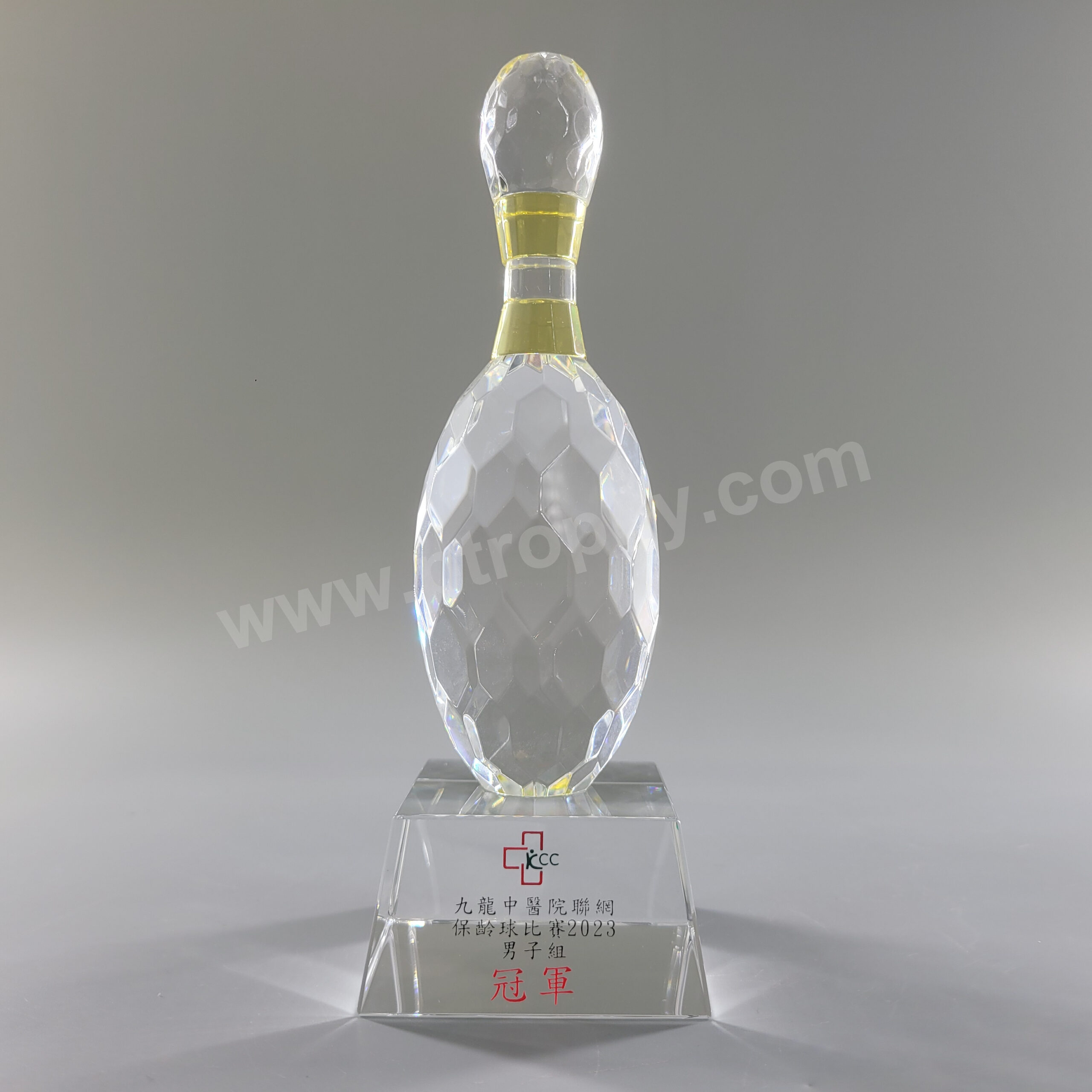 獎品金屬徽章