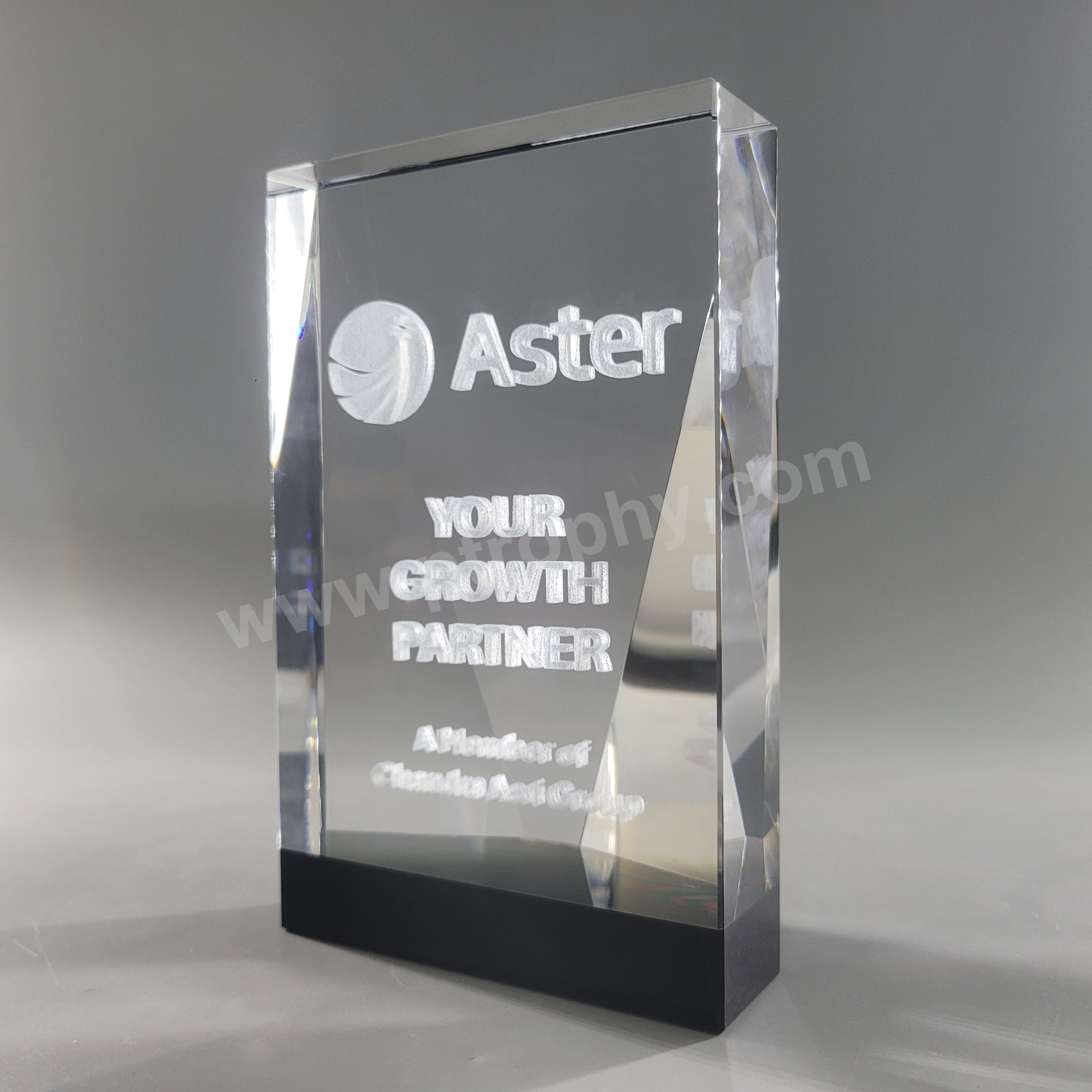 AE591 Crystal Award