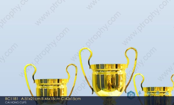 BC1181 Metal Trophy,獎盃訂造