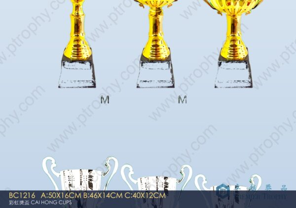 BC1216 Metal Trophy,獎盃訂造