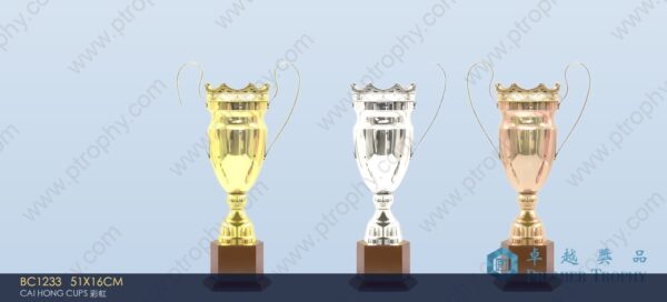 BC1233 Metal Trophy,獎盃訂造