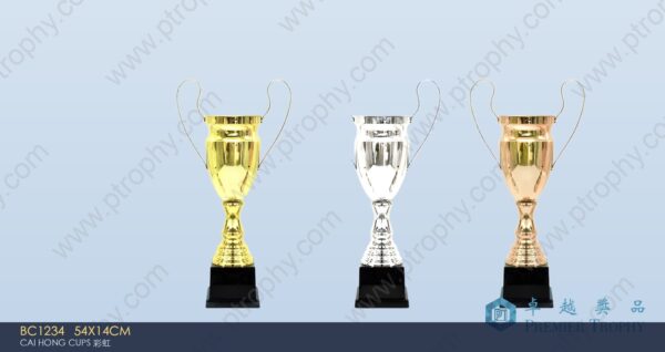 BC1234 Metal Trophy,獎盃訂造