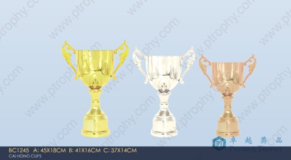 BC1245 Metal Trophy,獎盃訂造