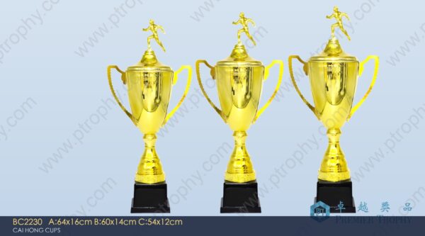 BC2230 Metal Trophy,獎盃訂造