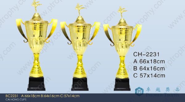 BC2231 Metal Trophy,獎盃訂造