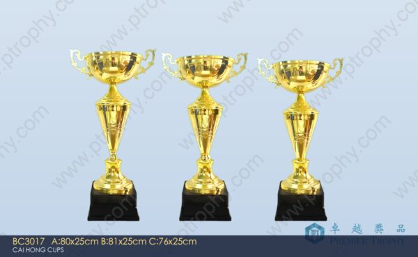 BC3017 Metal Trophy,獎盃訂造