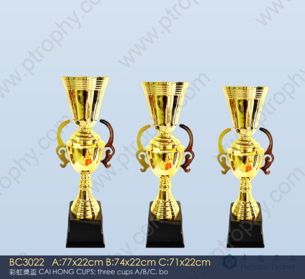 BC3022 Metal Trophy,獎盃訂造