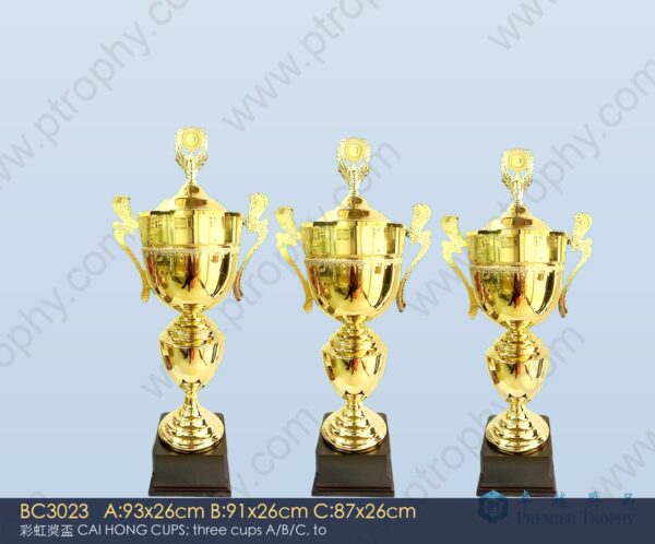 BC3023 Metal Trophy,獎盃訂造