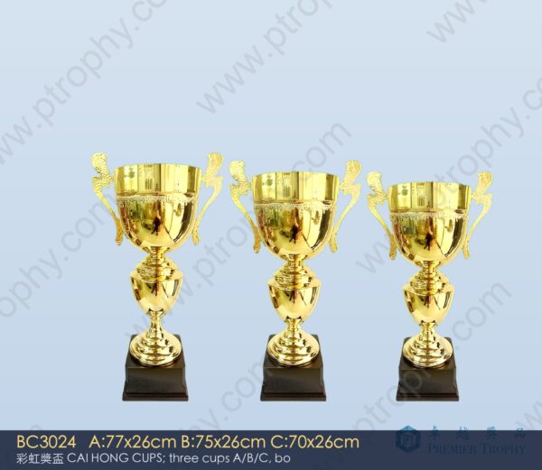 BC3024 Metal Trophy,獎盃訂造