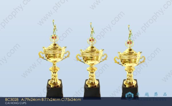 BC3028 Metal Trophy,獎盃訂造