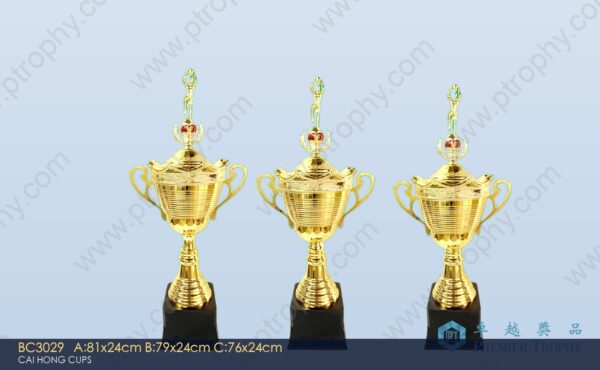 BC3029 Metal Trophy,獎盃訂造