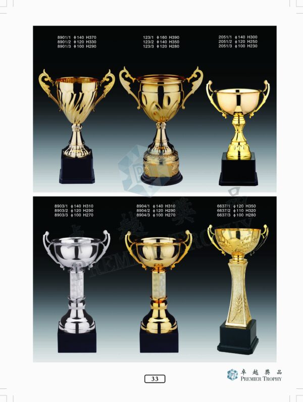 BC3035 Trophy,獎盃訂造