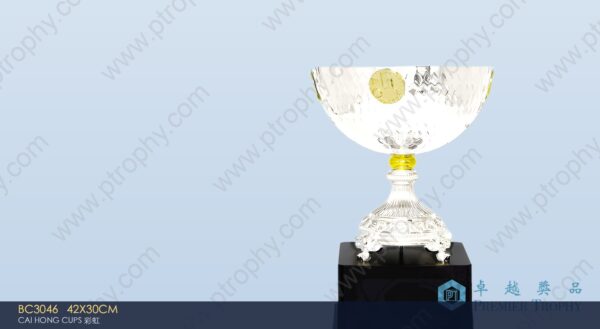 BC3046 Metal Trophy,獎盃訂造