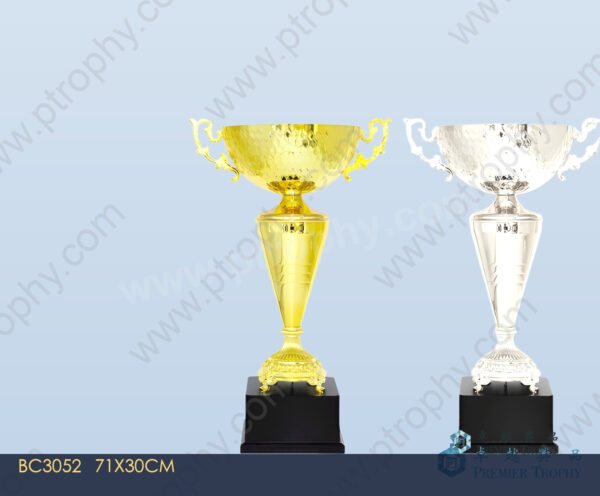 BC3052 Trophy,獎盃訂造