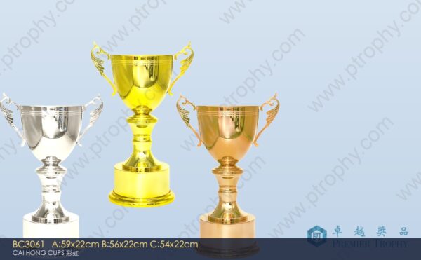 BC3061 Metal Trophy,獎盃訂造
