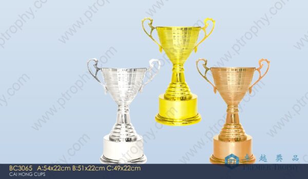 BC3065 Metal Trophy,獎盃訂造