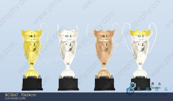 BC3067 Metal Trophy,獎盃訂造