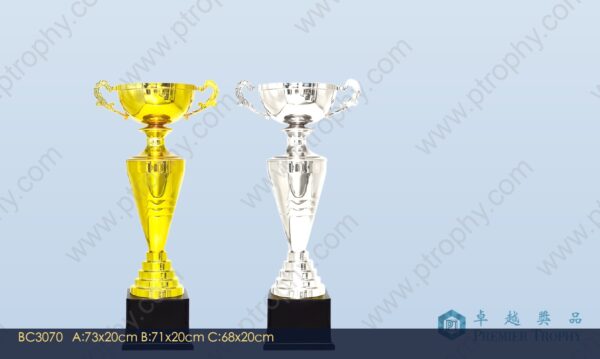 BC3070 Trophy,獎盃訂造