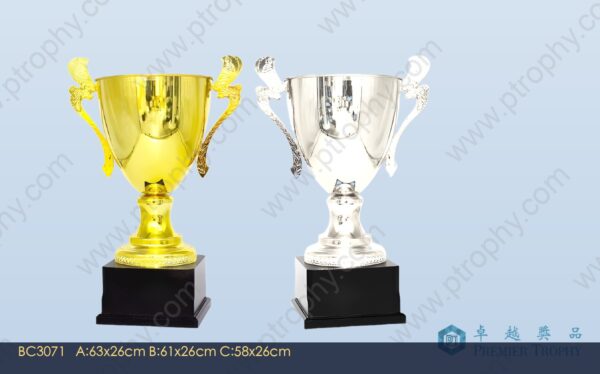 BC3071 Trophy,獎盃訂造