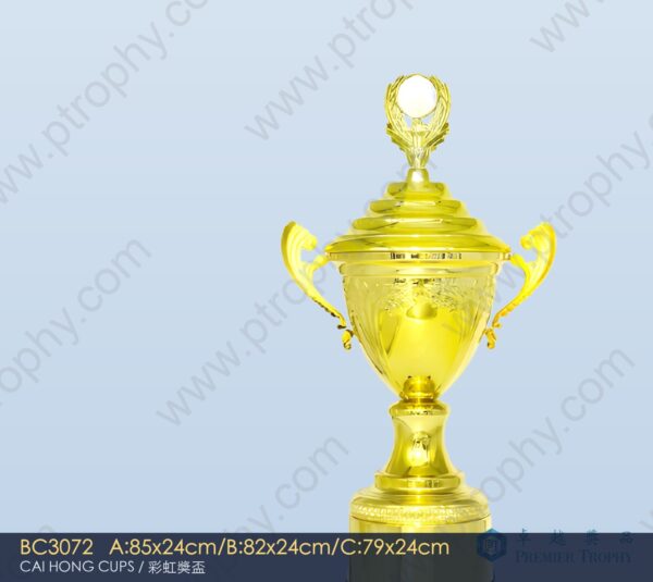BC3072 Metal Trophy,獎盃訂造