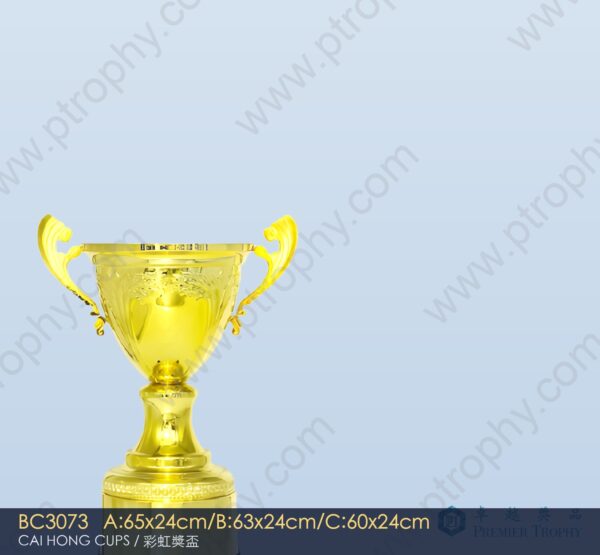 BC3073 Metal Trophy,獎盃訂造