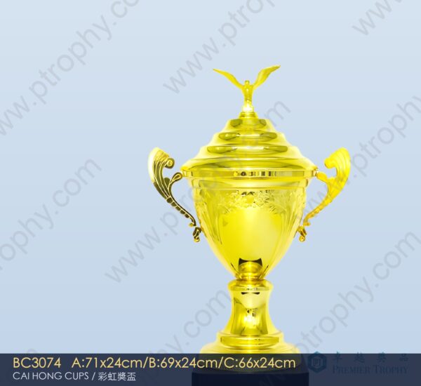 BC3074 Metal Trophy,獎盃訂造