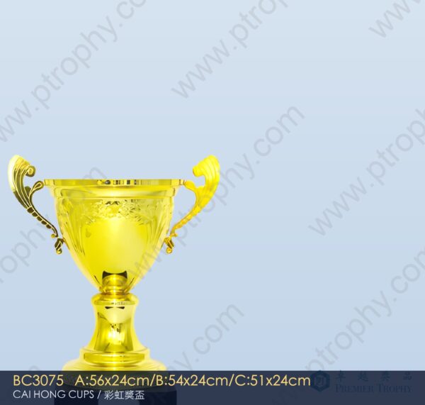 BC3075 Metal Trophy,獎盃訂造
