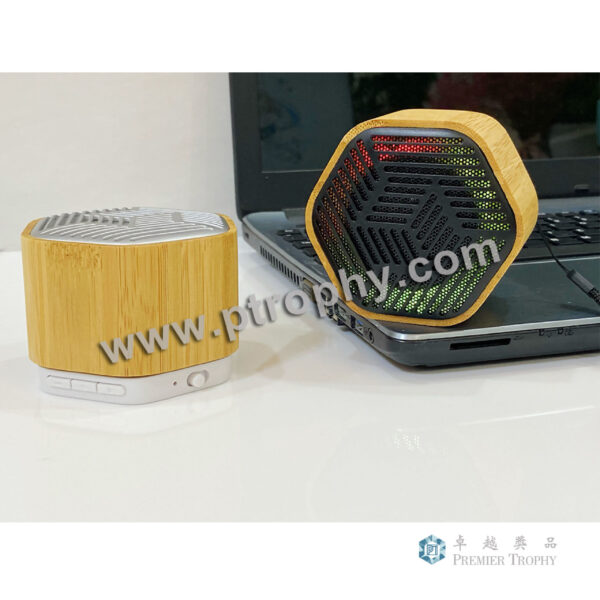 HS106 竹木藍牙小音箱,小音箱訂造
