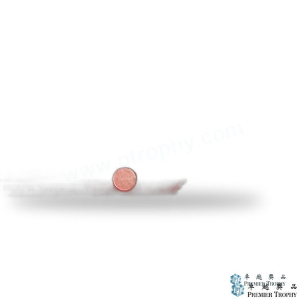 韓式半透明長條形貼紙