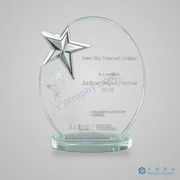 AE653 企業獎項,企業獎項訂造