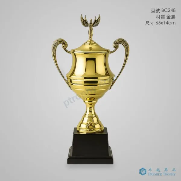 BC248 Trophy,獎盃訂造