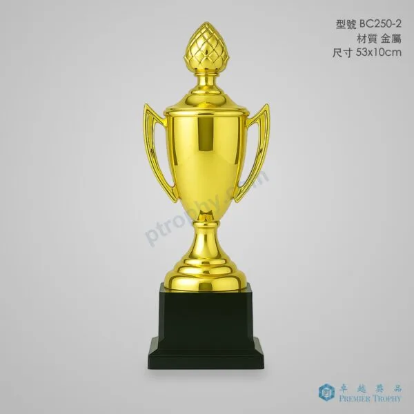 BC250-2 Trophy,獎盃訂造