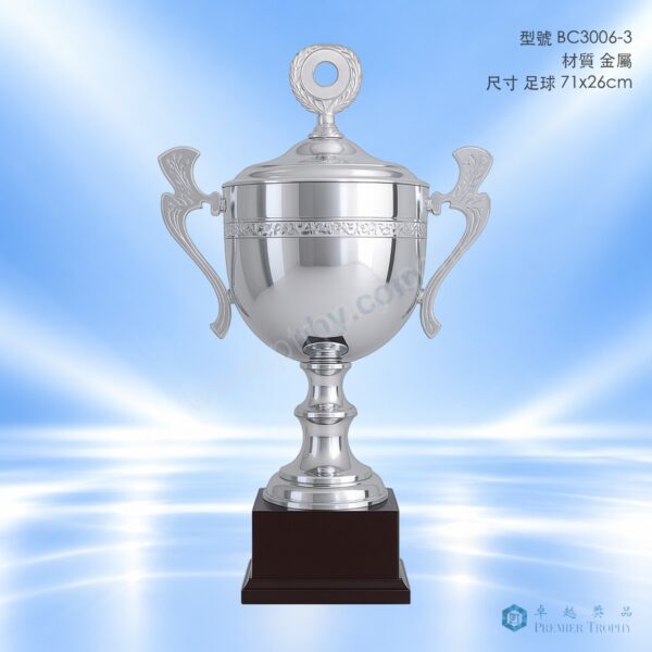 BC3006-3 獎盃