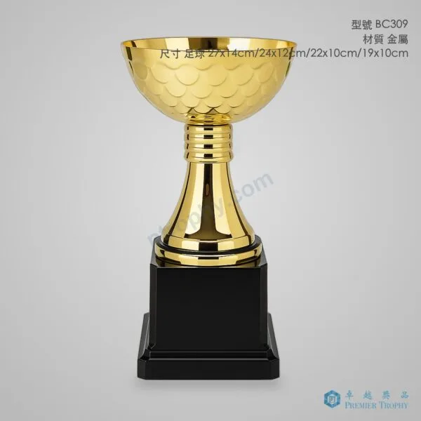 BC309 Trophy,獎盃訂造
