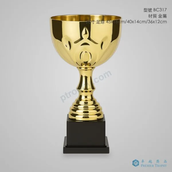 BC317 Trophy,獎盃訂造