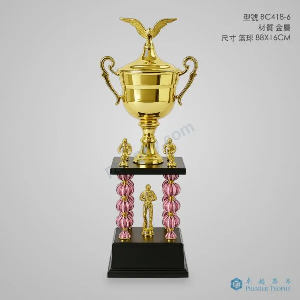 BC418-6 Trophy,獎盃訂造 - 卓越獎品香港廠房