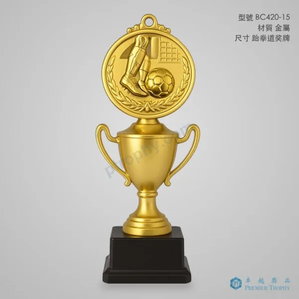 BC420-15 Trophy,獎盃訂造 - 卓越獎品香港廠房