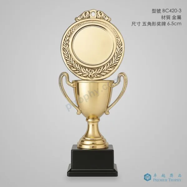 BC420-3 Trophy,獎盃訂造 - 卓越獎品香港廠房